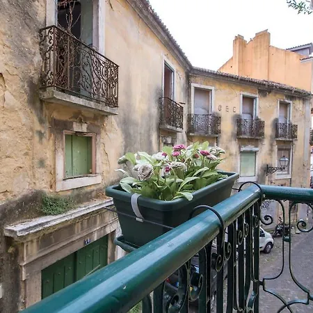Апартаменты Cosy 2 Bedroom Near Castelo Sao Jorge